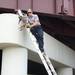 Ann Arbor firefighter Lieutenant Keith Harr holds a stray cat found under an overpass along I-94 on Tuesday. Photos courtesy of Humane Society of Huron Valley